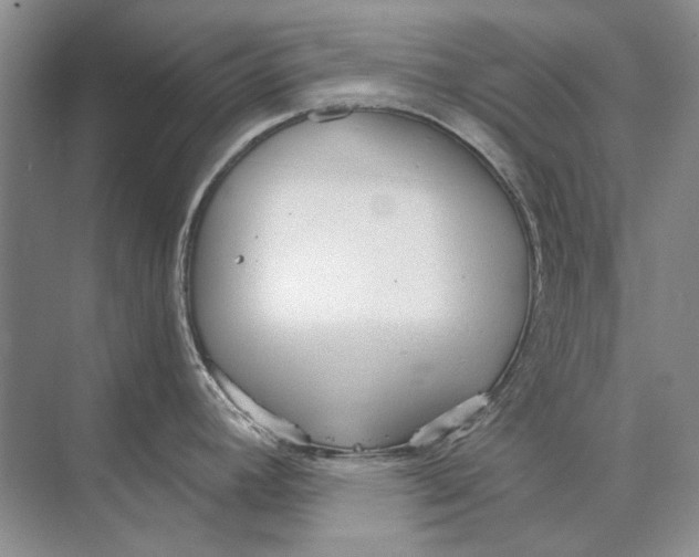 X0000073831392200608311857