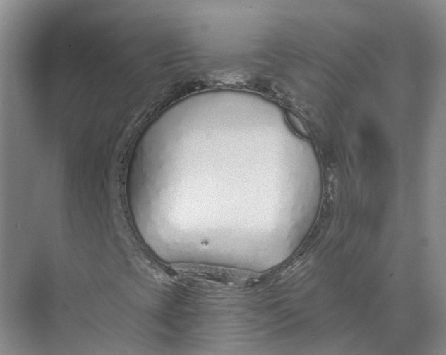 X0000073831393200608311856