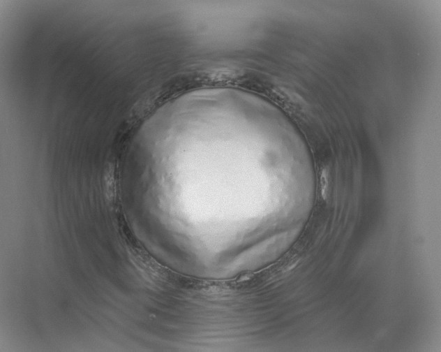 X0000073831395200608311856