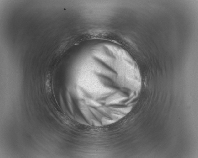 X0000073831396200608311856