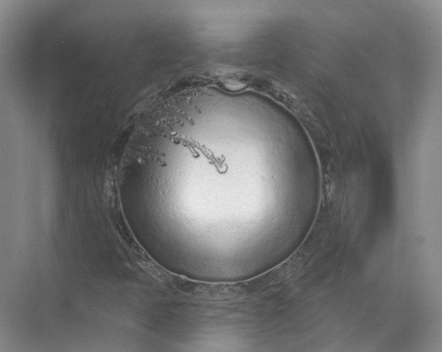 X0000073831397200608311856