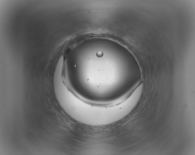 X0000073831398200608311856