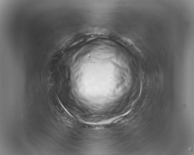 X0000073831399200608311856