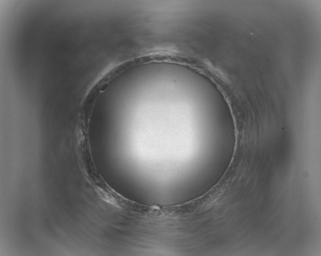 X0000073831400200608311856