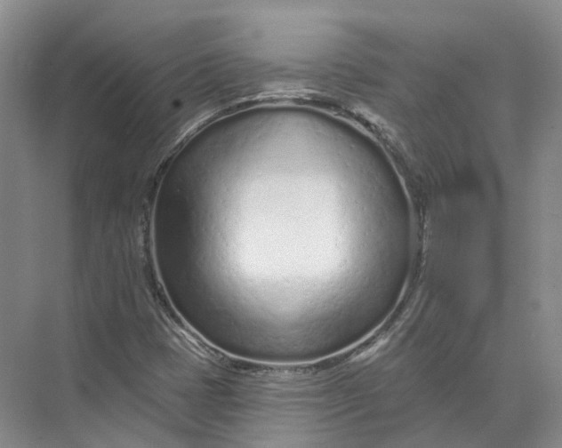 X0000073831401200608311856