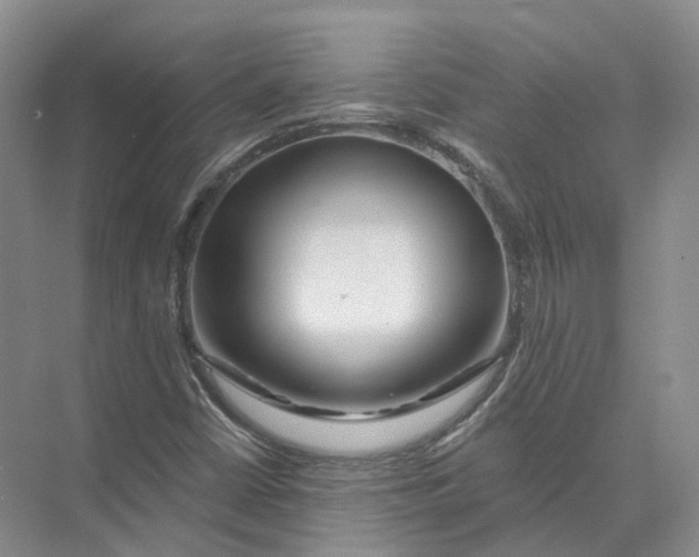 X0000073831402200608311856