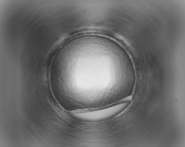 X0000073831403200608311856