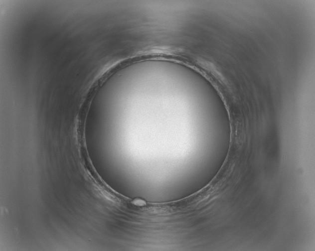 X0000073831404200608311856