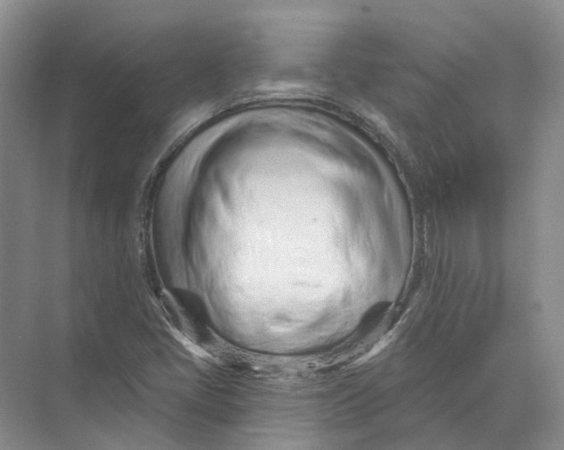 X0000073831405200608311856