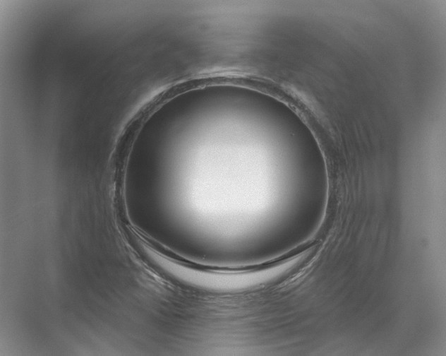 X0000073831406200608311856