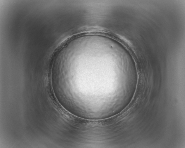 X0000073831407200608311856