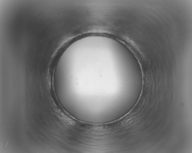 X0000073831408200608311856