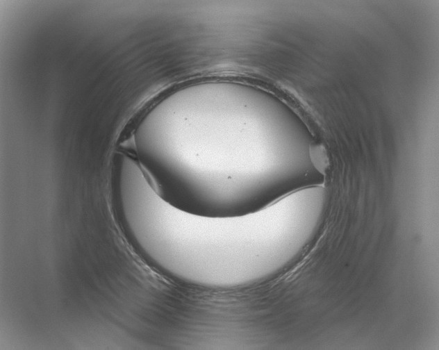 X0000073831410200608311856