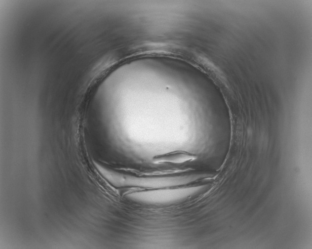 X0000073831411200608311857