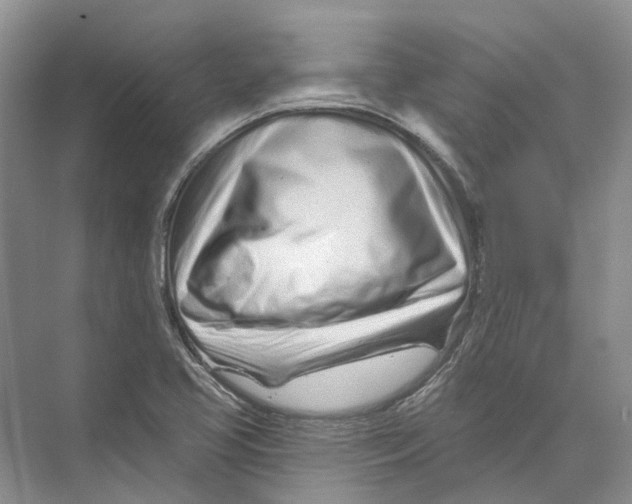 X0000073831413200608311857