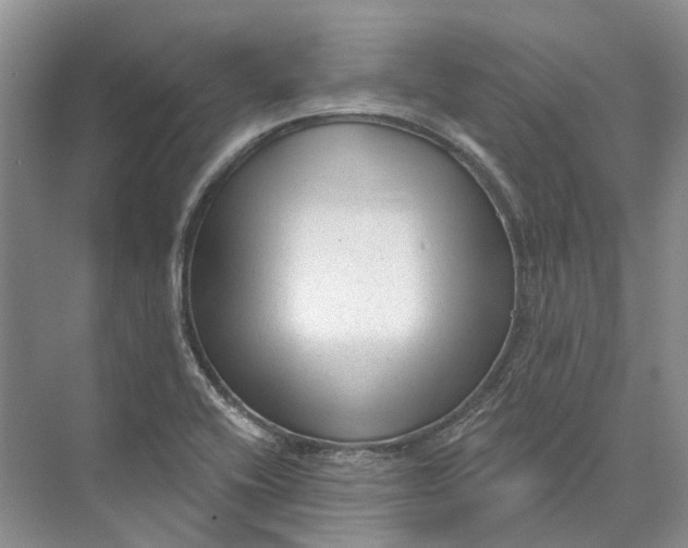 X0000073831416200608311857