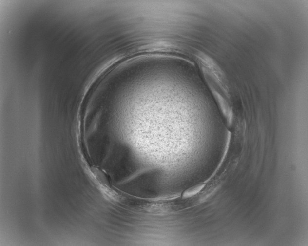 X0000073831418200608311857