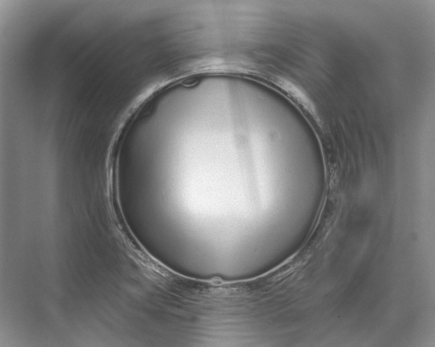 X0000073831419200608311857