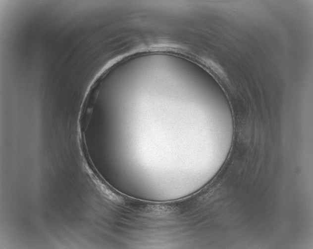 X0000073831420200608311857