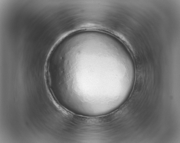 X0000073831421200608311857