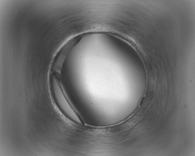 X0000073831422200608311857