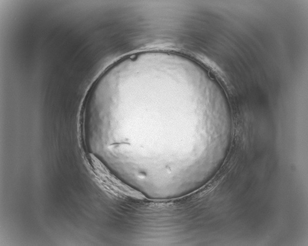 X0000073831423200608311857