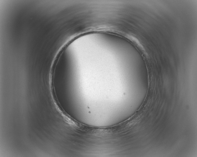 X0000073831424200608311857