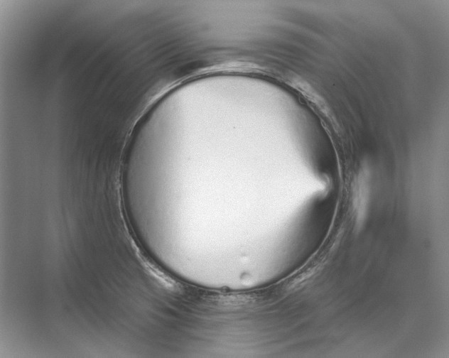 X0000073831425200608311857