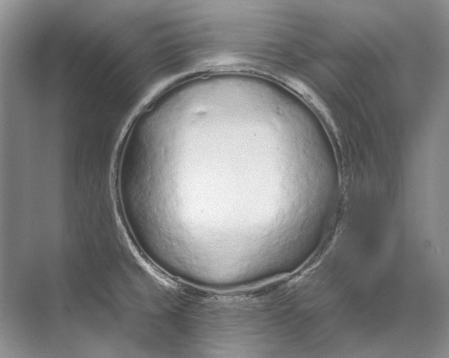 X0000073831429200608311857