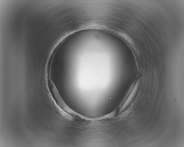 X0000073831430200608311857