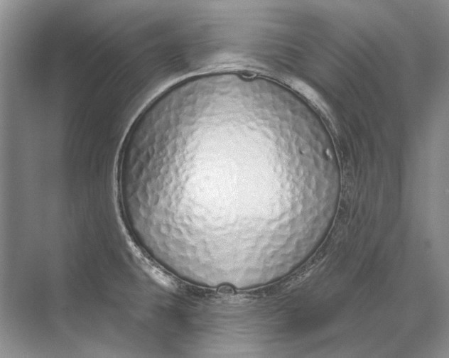 X0000073831431200608311857