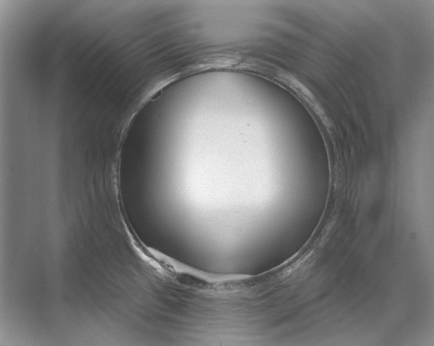 X0000073831433200608311857