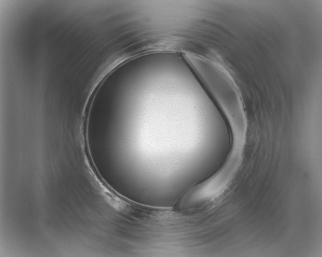 X0000073831434200608311857