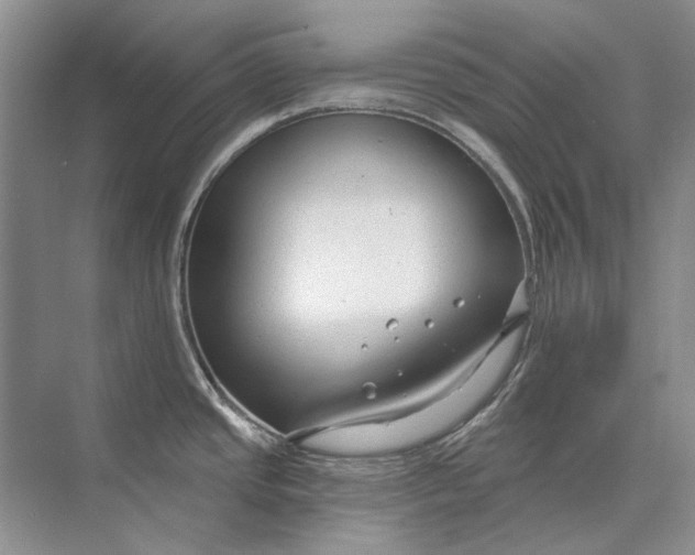 X0000073831437200608311857