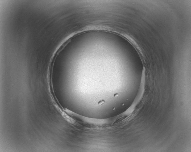 X0000073831438200608311857