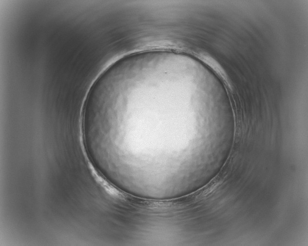 X0000073831439200608311857