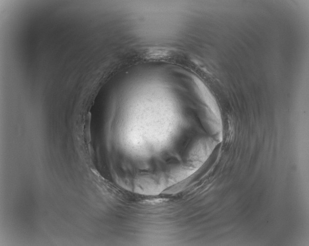 X0000073831441200608311856