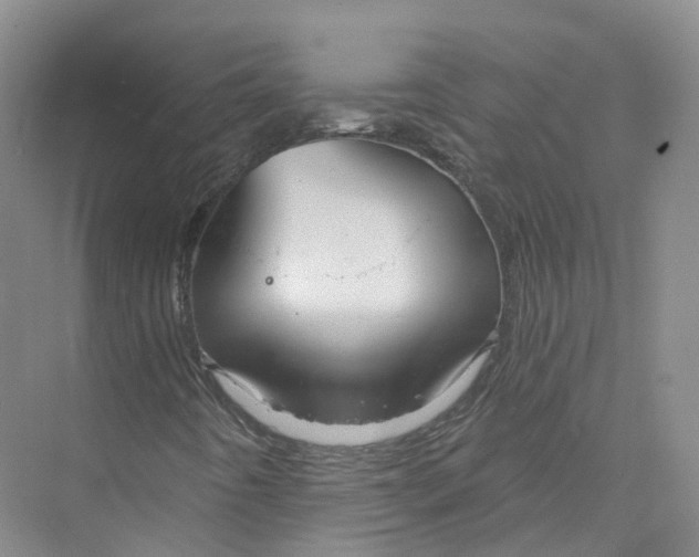 X0000073831442200608311856