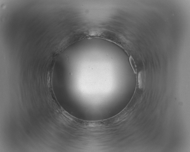 X0000073831443200608311856