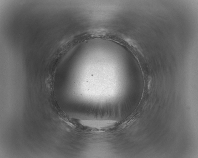 X0000073831445200608311856