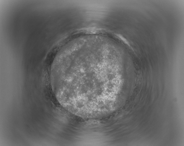 X0000073831446200608311856