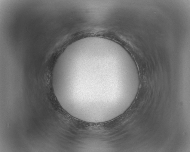 X0000073831447200608311856