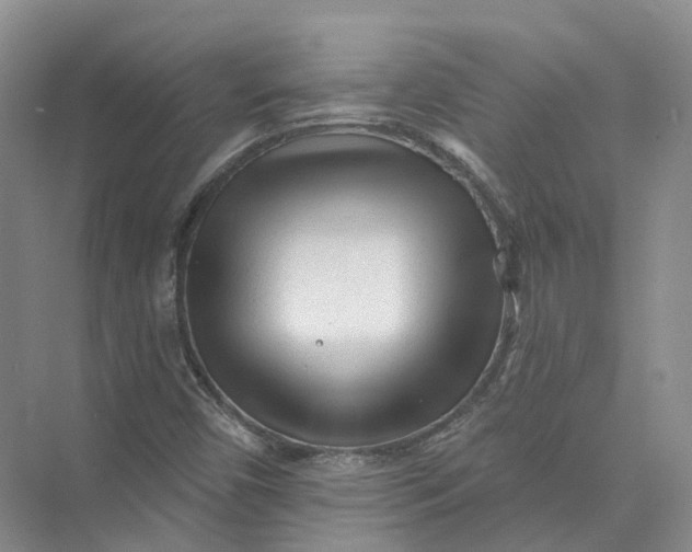 X0000073831450200608311856