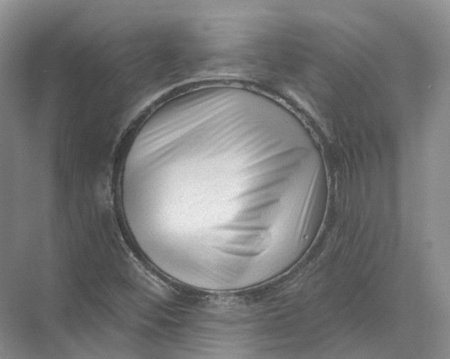 X0000073831452200608311856