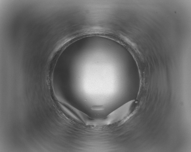 X0000073831453200608311856