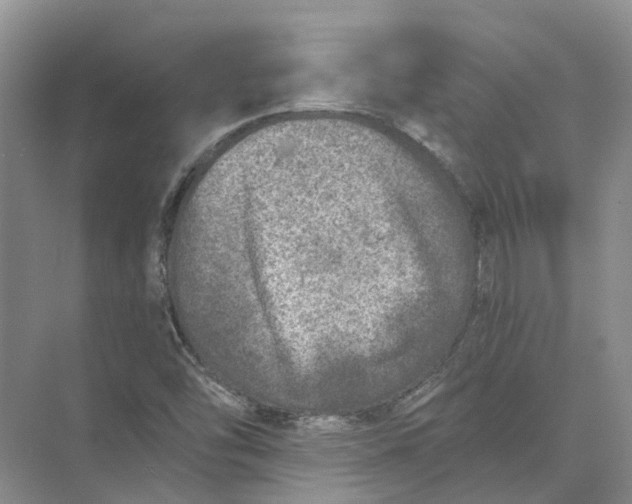 X0000073831454200608311856