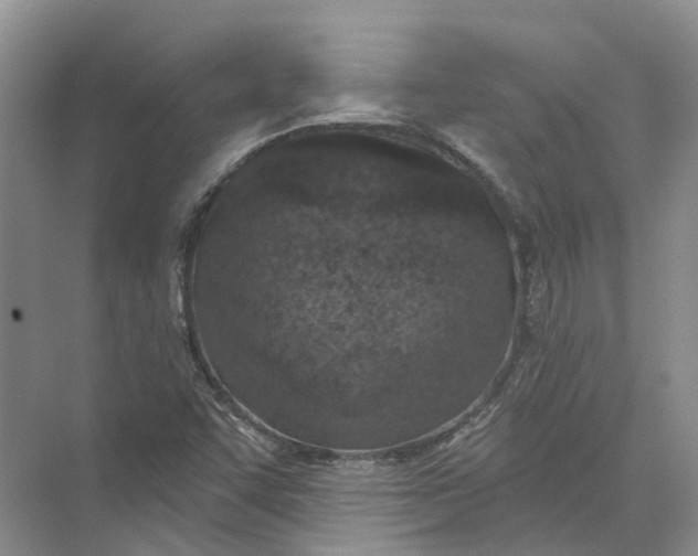 X0000073831455200608311856