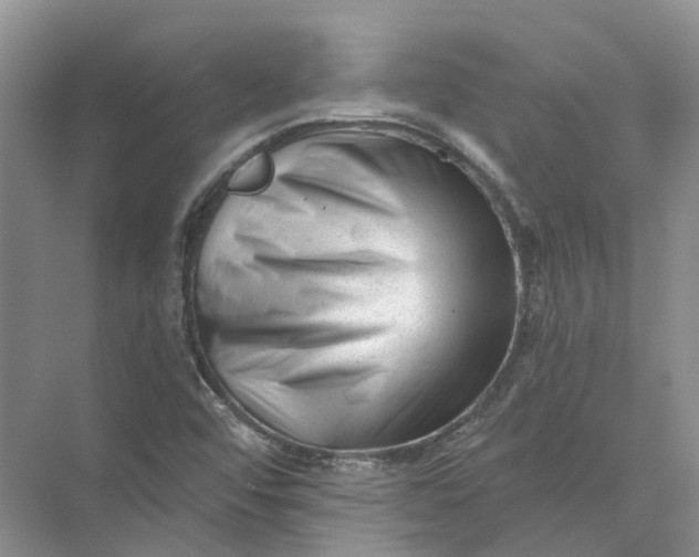 X0000073831456200608311856