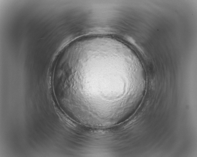 X0000073831459200608311856