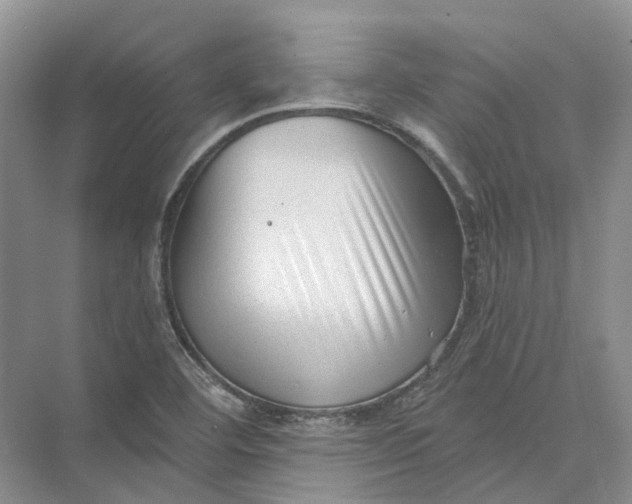 X0000073831460200608311856